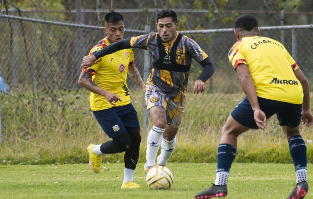 Hoy debutan los Leones Negros en torneo de Liga de Expansión Notisistema