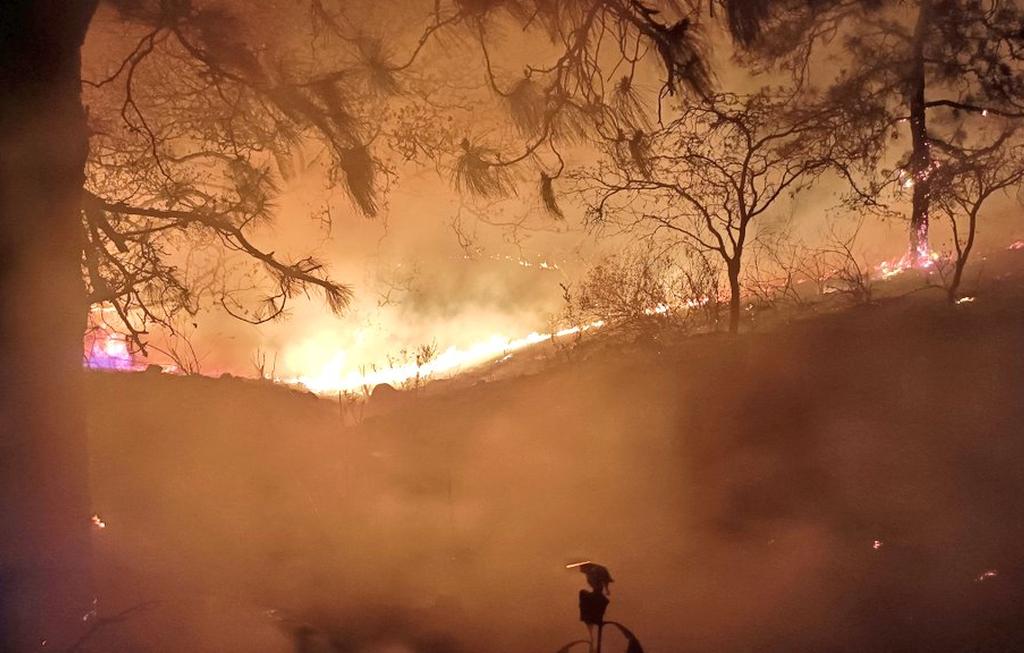 Controlan Incendio En La Primavera Notisistema