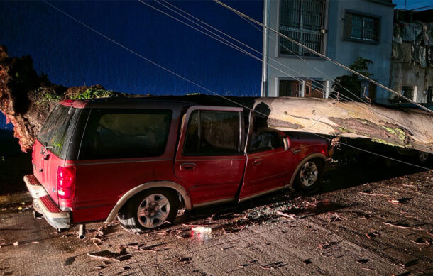 Tormenta derriba decenas de árboles en la Zona Metropolitana de Guadalajara
