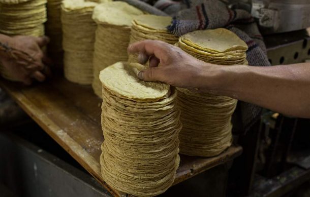 Descartan este año aumentos en el precio de la tortilla