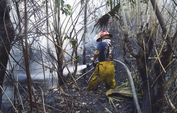 Brigadistas forestales de otros estados vendrán a Jalisco