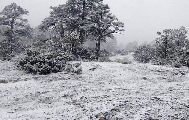 Caen las primeras nevadas del otoño en Chihuahua