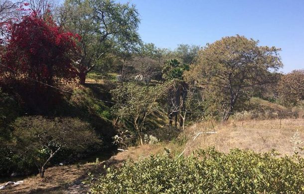 Presencia de hidrocarburo en La Primavera afecta la flora y fauna