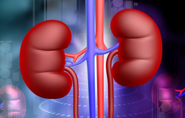 Buscan crear conciencia sobre la enfermedad renal