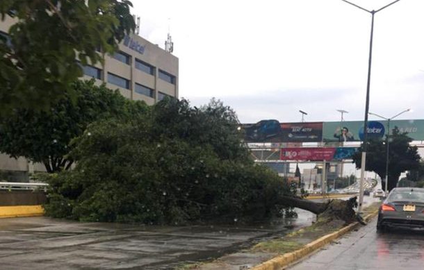 En 10 años han muerto 73 personas en fatalidades relacionadas con las lluvias