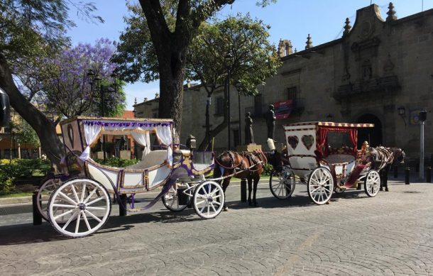 Por intenso calor, dan descanso a los caballos de las calandrias en GDL