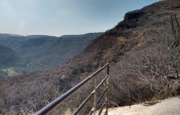 Localizan osamenta en la Barranca de Huentitán