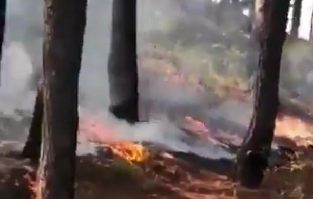 Sentencian a brigadista forestal a cinco años de cárcel por iniciar incendio