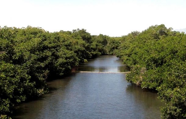 Reabren el estero El Salado en Puerto Vallarta