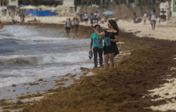 Llegan 19 mil toneladas de sargazo a las playas del Caribe mexicano