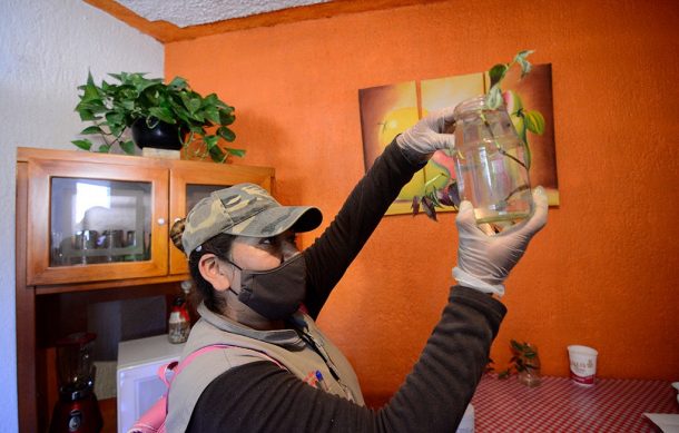 Aumentan los casos de dengue en el interior de Jalisco
