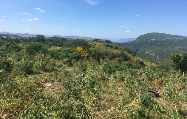 Parque en ceja de la barranca de Huentitán sólo protegería una zona de El Disparate