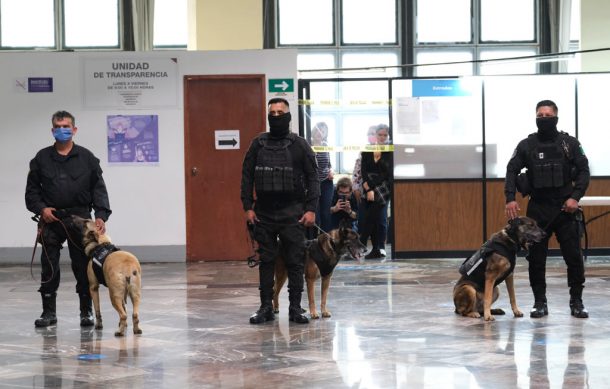 Jubilan a 3 perros del escuadrón canino