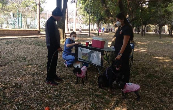 Realizan la Feria de Salud Animal en el parque González Gallo