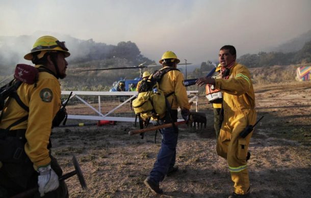 Suman 11 incendios en La Primavera durante 2022