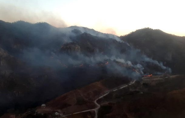 Combaten durante toda la madrugada incendio forestal en Zapopan