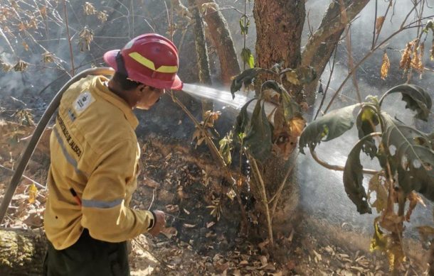 Refuerzan operativos policíacos dentro de zonas forestales de Zapopan