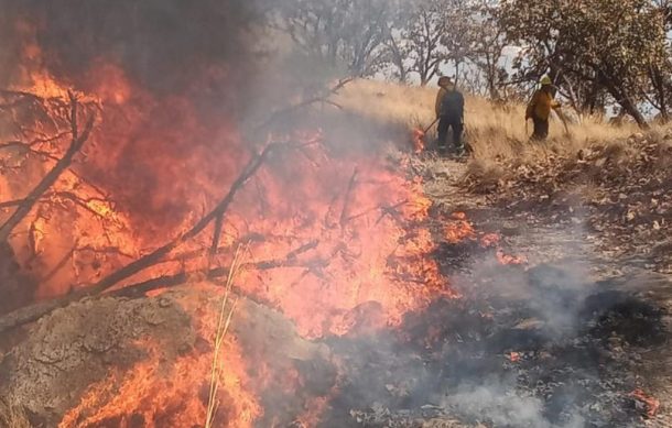 Combaten intenso incendio forestal en la zona de El Diente