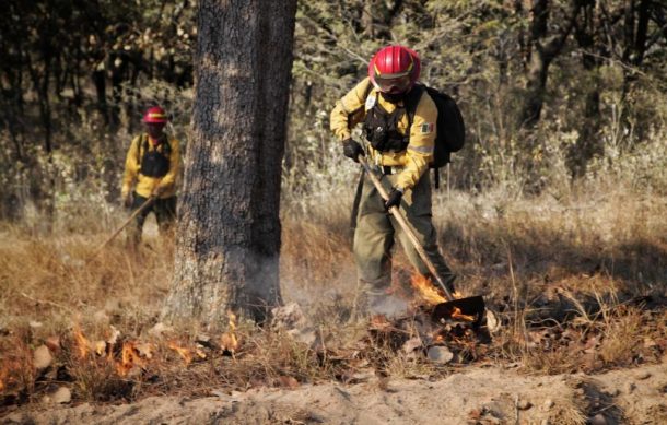 Detectan 36 municipios de alto riesgo por incendios forestales