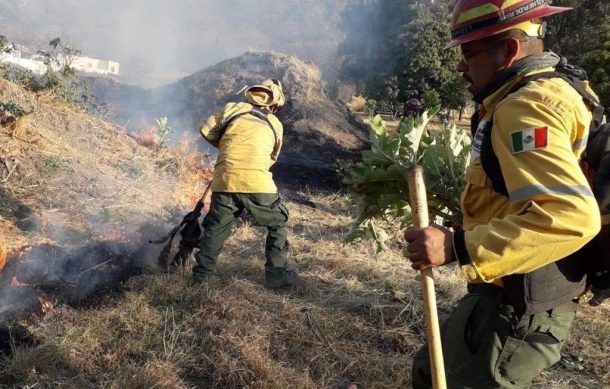 Estiaje 2022 ha sido mucho más benévolo con los bosques de Jalisco