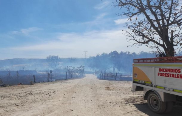 Contienen incendio en El Diente; fuego afecta 144 hectáreas