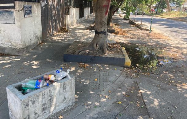 En descuido algunos tramos de la ciclovía de avenida Juan Palomar