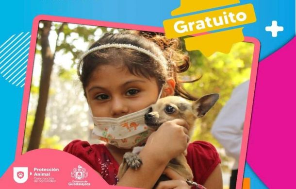 Alistan nuevo curso infantil de protección animal en Guadalajara