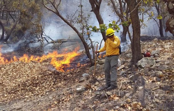 Mantienen combate en incendio en Autlán, afecta hasta 700 hectáreas de bosque