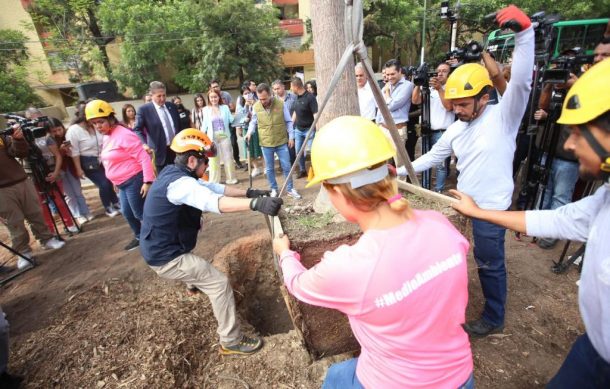 Alistan siembra de 22 mil árboles en Guadalajara y Zapopan