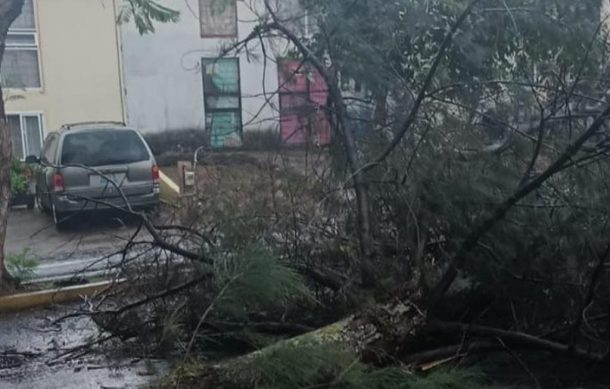 Fuerte lluvia afecta varios puntos de ZMG