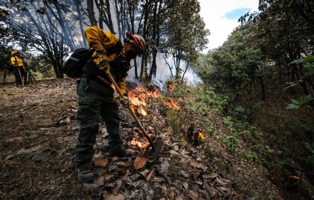 Incendios forestales fueron menos devastadores que otros años en Jalisco