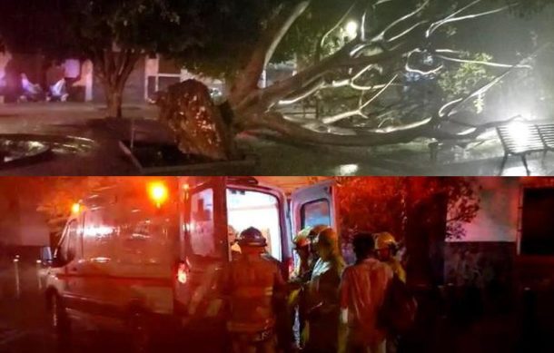 Dan de alta a mujer que le cayó un árbol durante tormenta en Analco