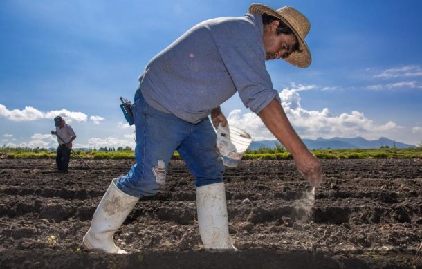 Piden productores del campo más apoyo para el próximo sexenio