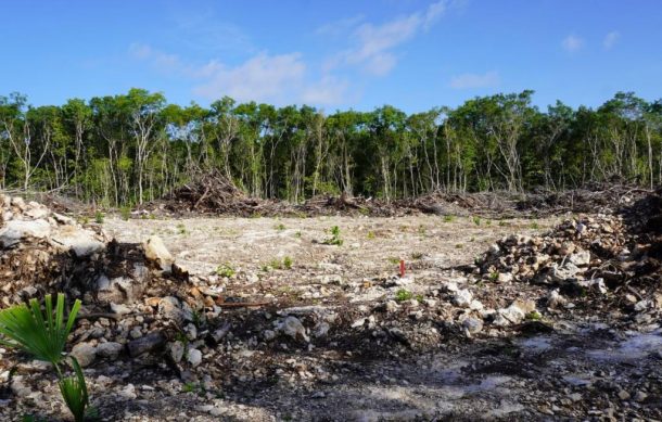 Hallazgos continuarían si cambia de trazo el Tren Maya: INAH