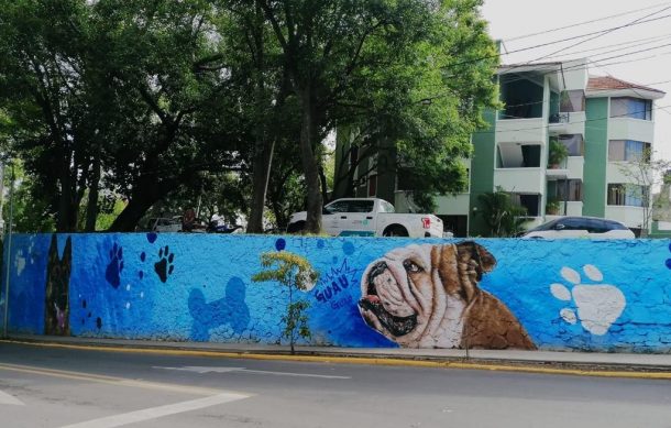 Anuncian la rehabilitación de la avenida Enrique Díaz de León