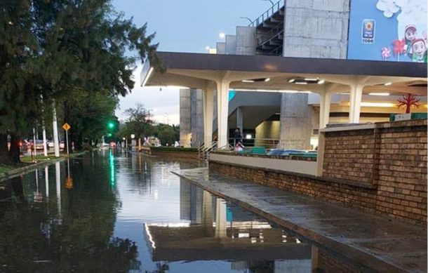 Inundaciones y 17 árboles caídos dejó la tormenta vespertina de ayer