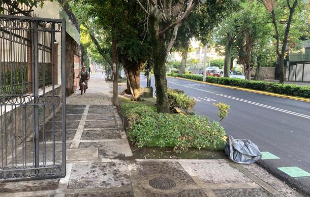 BusBici complica prestación de servicios en Av. Hidalgo