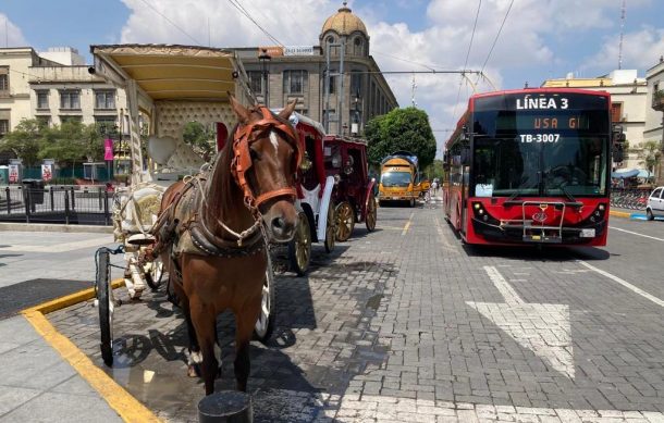 Prohíben a calandrias circular por avenida Hidalgo