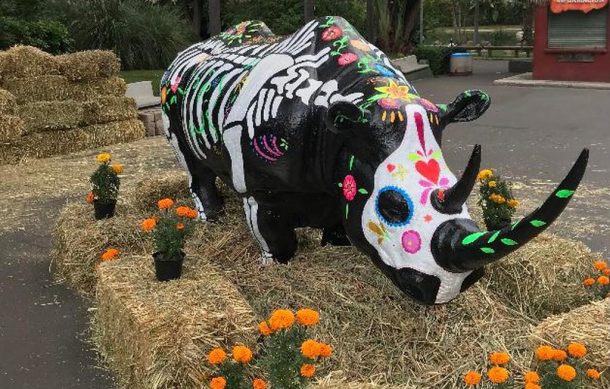 Instalan altares de muertos en el Zoológico GDL