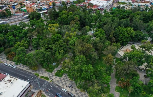 Rechazan que vivienda alrededor del Parque Morelos sea para renta en  plataforma | Notisistema