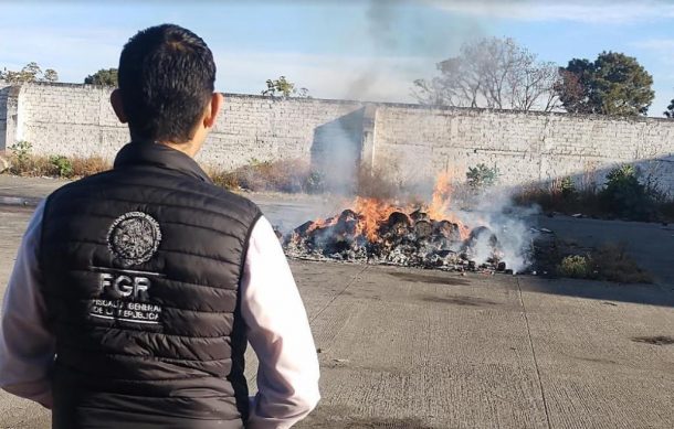 Incineran droga decomisa en Jalisco