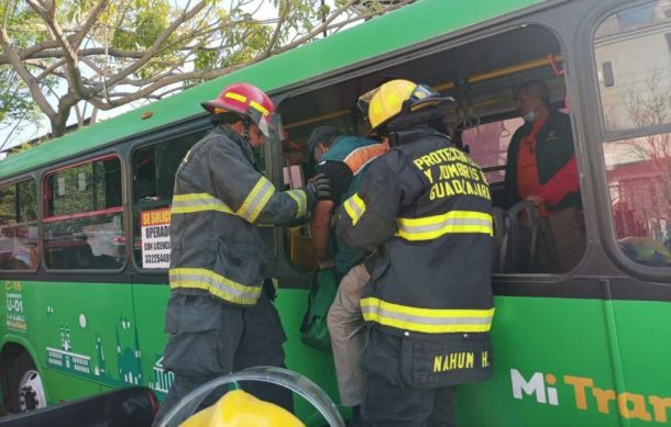 Chofer de transporte público choca su camión contra un árbol