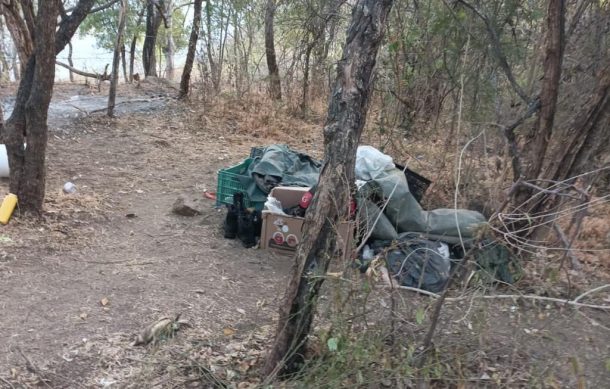 Decomisan cargadores y cartuchos en dos narcocampamentos