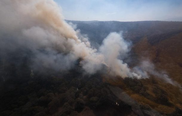 Incendio en La Primavera está controlado en más del 80 por ciento