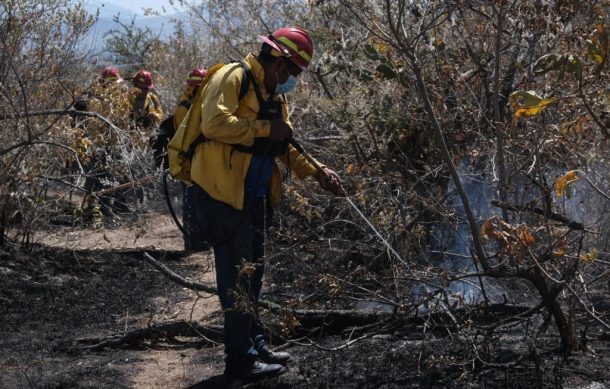 Avanza liquidación del fuego de La Primavera, pero humo aún cubre la ciudad