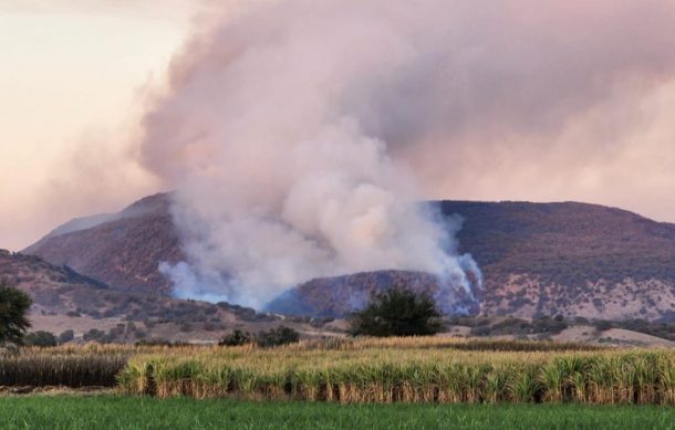 Incendio afecta la zona de Los Volcanes dentro del Bosque de La Primavera