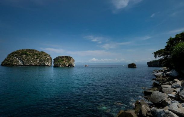 La sombra de un inflable en el mar atrajo tiburón que atacó a mujer: especialista