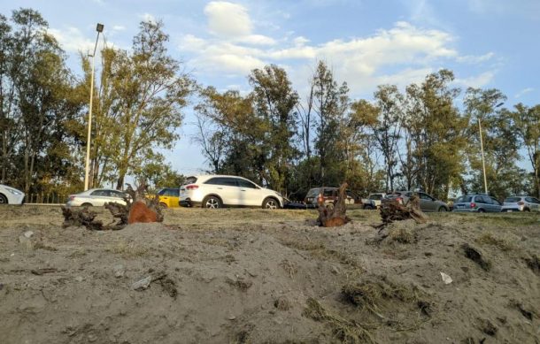 Zapopan matiza impacto ambiental por tala de árboles en Periférico