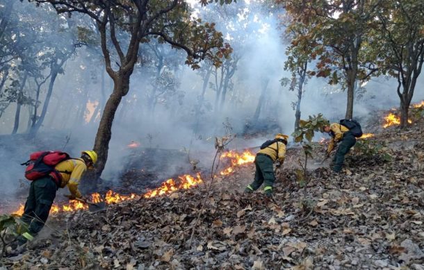 Se registran dos nuevos incendios forestales en Zapopan