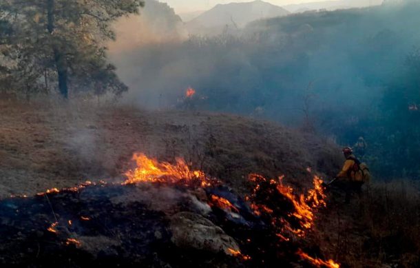 Más de 150 brigadistas mantienen labores para combatir incendio en La Primavera